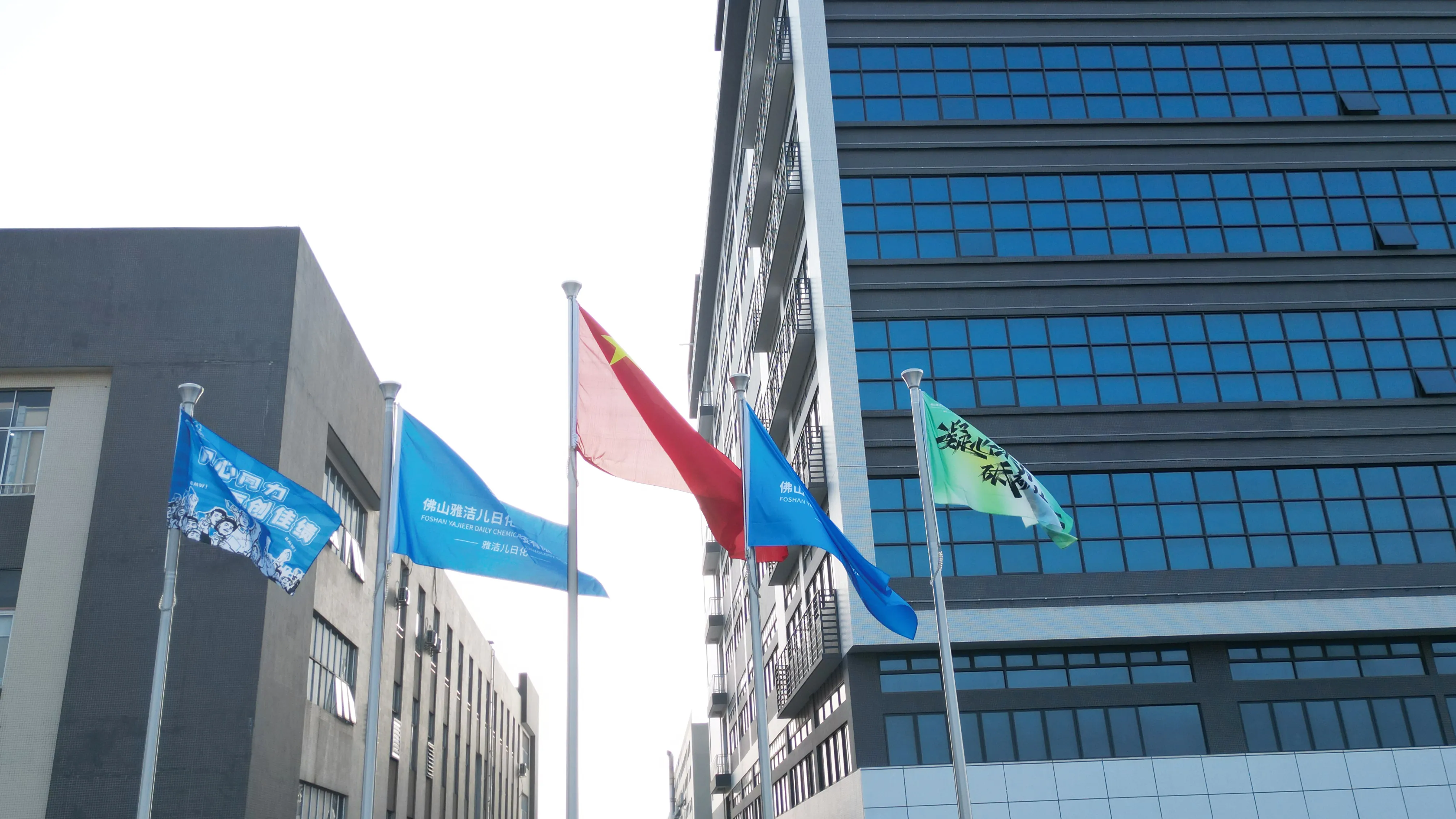Yajieer factory buildings and company flags in Foshan